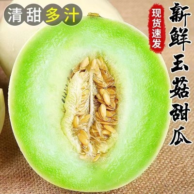 5斤起发 冰激凌玉菇甜瓜白皮绿肉沙甜绵蜜汁超多鲜货速发一件代发图3