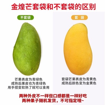 海南金煌芒果新鲜当季水果 一件代发 甜心水仙芒青黄皮金煌芒芒果图4