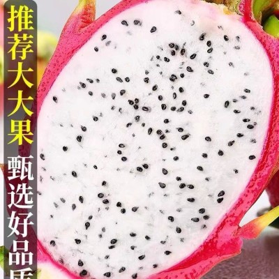 火龙果10斤一箱越南白心火龙果5斤批发当季热带水果新鲜火龙尤果图4