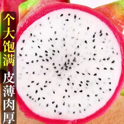 火龙果10斤一箱越南白心火龙果5斤批发当季热带水果新鲜火龙尤果图5