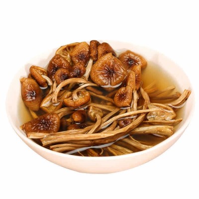 未开伞茶树菇干货特产 古田福建不开伞茶树菇500g食用菌农产品图4