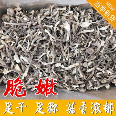 干度好特色鹿茸菇 10斤净重食用菌干货鹿茸菇鹿茸菌 货量大批发图2