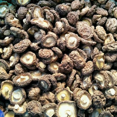 古田农家干香菇 散装商用500g蘑菇冬菇金钱菇 剪脚肉质厚小香菇图3