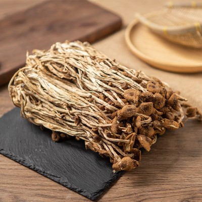 庆元的茶树菇 菇类干货炖汤土特产菌菇干货土特产不开伞茶树菇厂图2