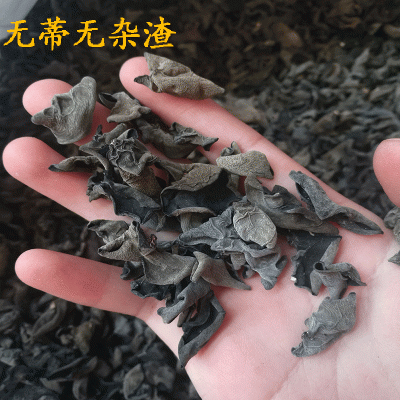 原生黑木耳批发 东北黑木耳干货小碗耳农家肉厚无根椴木木耳500g图4