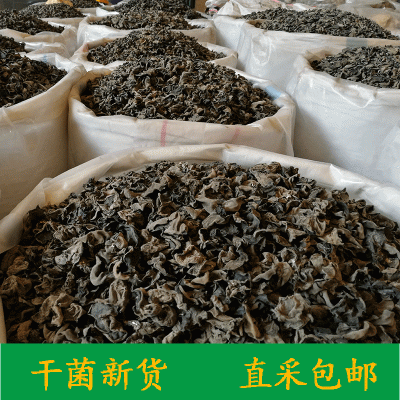 原生黑木耳批发 东北黑木耳干货小碗耳农家肉厚无根椴木木耳500g图2