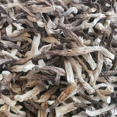 厂家直销10斤一箱 新货散装鹿茸菇干货 鹿茸菌干货食用菌 批发图3