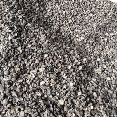 香菇 干货产地批发剪根肉厚商用农家土特产 金钱菇 春栽 香菇图3
