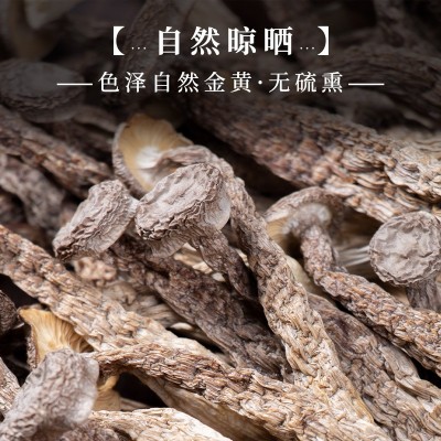 鹿茸菇干货散装云南特产煲汤食材脆脆菇大件批发现货厂家菌菇干貨图2