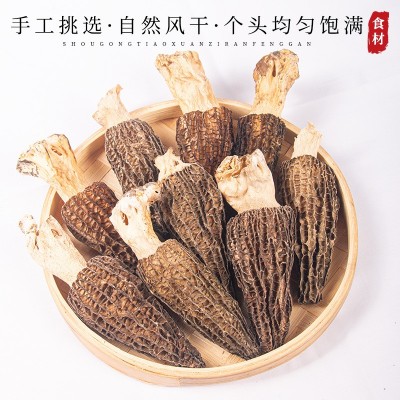 羊肚菌干货云南精选土特产菌营养菌菇新货煲汤火锅优质羊肚菌批发图2