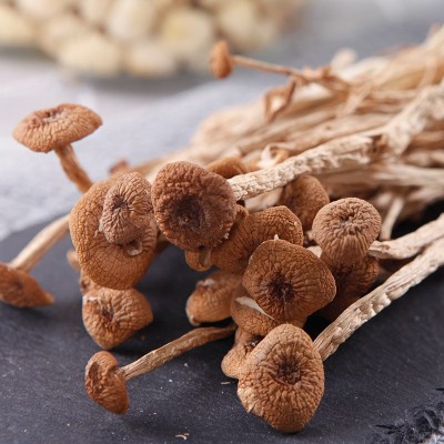 古田茶树菇干货散装500g农产品食用菌特产炖汤煲汤不开伞厂家直销图4