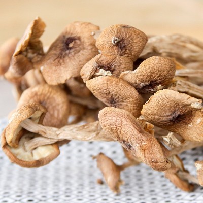 古田茶树菇干货散装500g农产品食用菌特产炖汤煲汤不开伞厂家直销图3