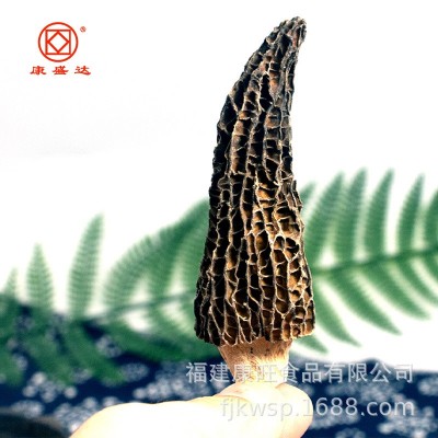 羊肚菌干货500g散装羊肚蘑山珍羊肝菜鲜货食用菌基地厂家直销批图2