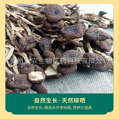 贵州特产茶树菇80克厂家原料直售批发可定制贴牌代加工茶树菇干货图3