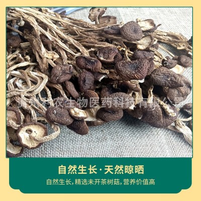贵州特产茶树菇80克厂家原料直售批发可定制贴牌代加工茶树菇干货图2