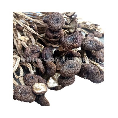贵州特产茶树菇80克厂家原料直售批发可定制贴牌代加工茶树菇干货图5