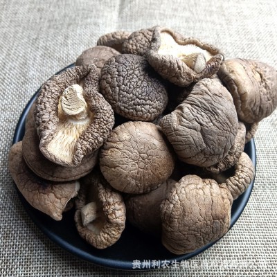 香菇50g-100g食用菌现货香菇干货肉厚无根干香菇厂家原料直售批发图2