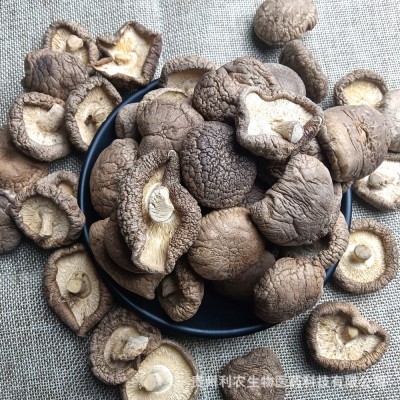 香菇50g-100g食用菌现货香菇干货肉厚无根干香菇厂家原料直售批发图4