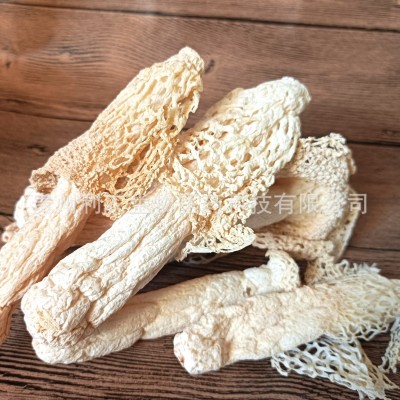 贵州竹荪菌类厂家直销织金红托竹荪20g简装礼盒装定制批发销售图4