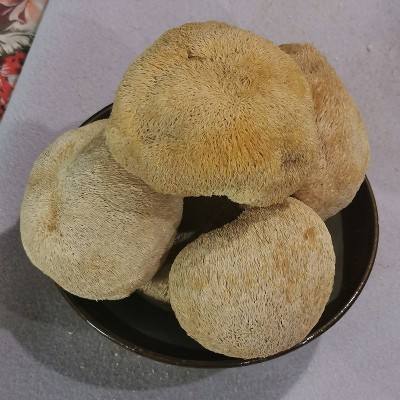 猴头菇干货500g/250g东北长白山煲汤猴头菌蘑菇菌菇干菌子批发图3