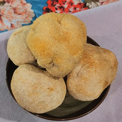 猴头菇干货500g/250g东北长白山煲汤猴头菌蘑菇菌菇干菌子批发图2