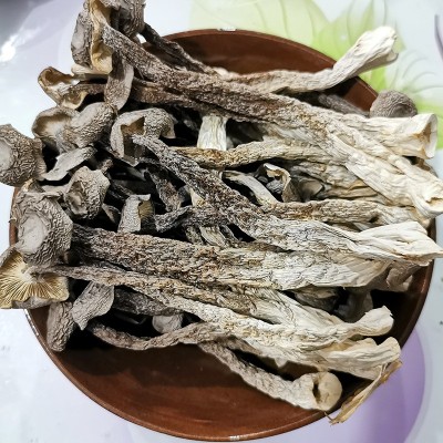 鹿茸菇干货新货鹿茸菌特产脆脆菇炖汤煲汤蘑菇云南香菇菌子批发图3