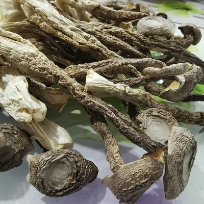 鹿茸菇干货新货鹿茸菌特产脆脆菇炖汤煲汤蘑菇云南香菇菌子批发图2