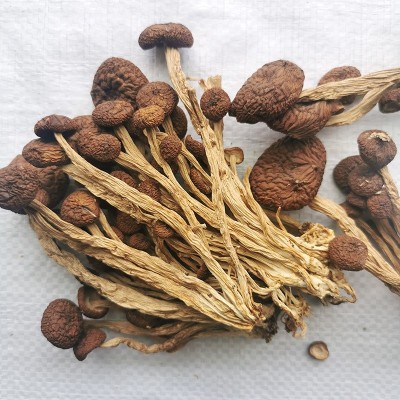 农家茶树菇500g特产茶薪菇干货珍珠菇古田小蘑菇冬菇菌菇香菇批发图3