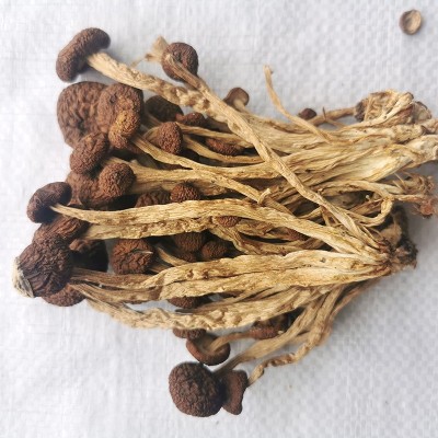 农家茶树菇500g特产茶薪菇干货珍珠菇古田小蘑菇冬菇菌菇香菇批发图2
