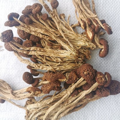 农家茶树菇500g特产茶薪菇干货珍珠菇古田小蘑菇冬菇菌菇香菇批发图4