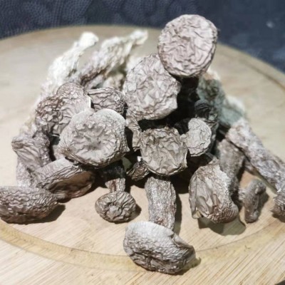 鹿茸菇干货高品质500g新鲜无硫脆脆菇煲汤产地直发福建古田土特产图2