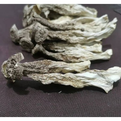 鹿茸菇干货高品质500g新鲜无硫脆脆菇煲汤产地直发福建古田土特产图4