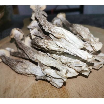 鹿茸菇干货高品质500g新鲜无硫脆脆菇煲汤产地直发福建古田土特产图3