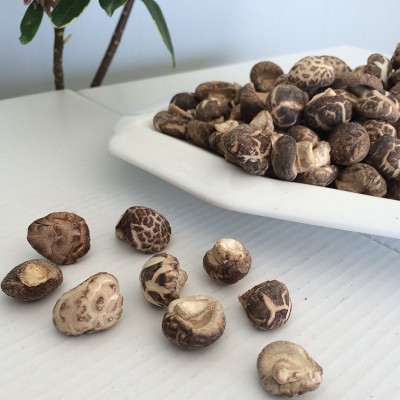 湖北随州特产香菇干货椴木小花菇产地直批500克农家花菇冬菇干货图3