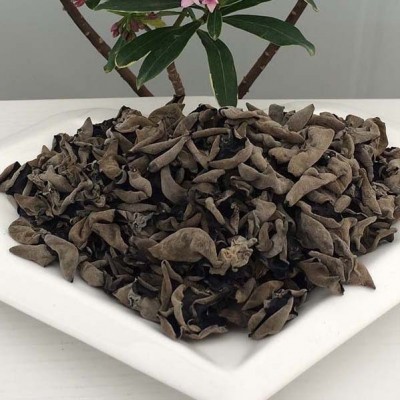 东北无根黑木耳批发 水产干货 500克 鼠耳小木耳 支持可定图5