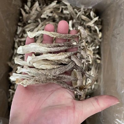 鹿茸菇干货古田特产鹿茸菌营养菌菇蘑菇干香菇菌类厂家批发图4