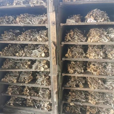 福建开伞茶树菇干货散装20斤茶薪菇火锅食材食用菌产地批发图4