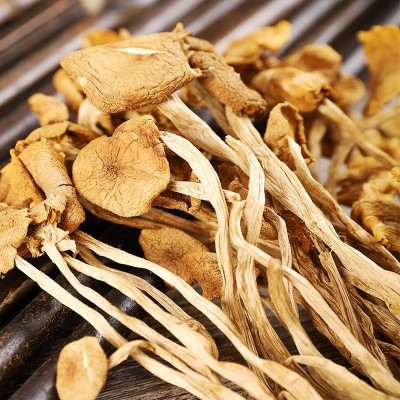 福建开伞茶树菇干货散装20斤茶薪菇火锅食材食用菌产地批发图2