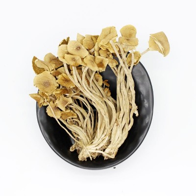 福建开伞茶树菇干货散装20斤茶薪菇火锅食材食用菌产地批发图5