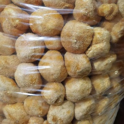 新货古田猴头菇 干猴头菇古田特产磨粉原料批发产地食用菌菇500g图4
