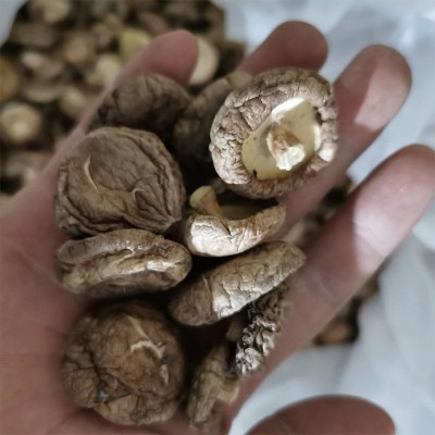 古田香菇干货散装10/20斤产地直发农产品食用菌冬菇蘑菇新货图3