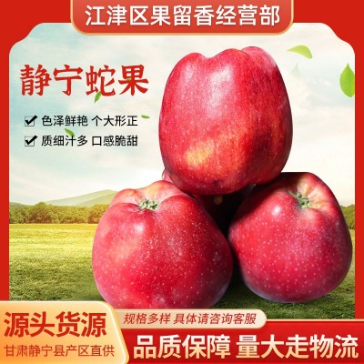 果园采摘产地直供甘肃蛇果花牛果苹果宝宝辅食整箱批发图1