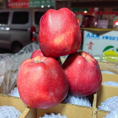果园采摘产地直供甘肃蛇果花牛果苹果宝宝辅食整箱批发图2