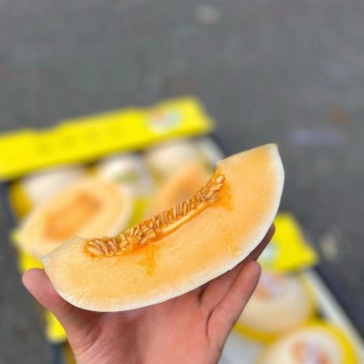 优里香红金蜜 瓜哈密瓜整件5枚12-15斤现货批发图2