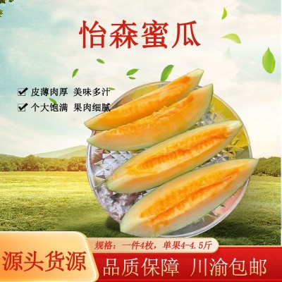 怡森蜜瓜哈密瓜整件4枚17-18斤现货整箱批发图1