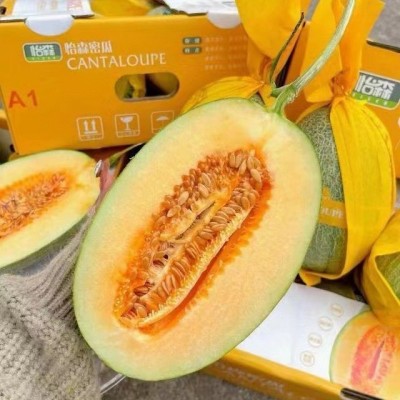 怡森蜜瓜哈密瓜整件4枚17-18斤现货整箱批发图2