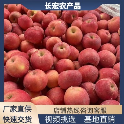 山西陕西甘肃红富士苹果批发价格静宁运城临猗红富士苹果批发基地图4