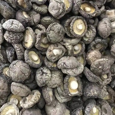 河南香菇产地大量供应干制香菇 规格齐全 2-3 3-4 4-5 5以上 通货图3