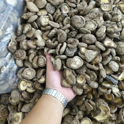 河南香菇产地大量供应干制香菇 规格齐全 2-3 3-4 4-5 5以上 通货图2