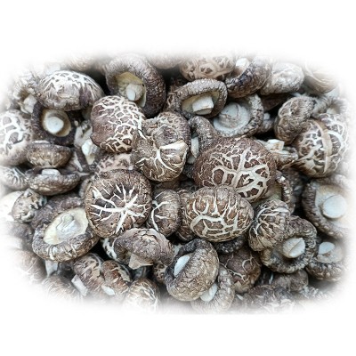 河南香菇基地供应茶花菇 麻花菇 白花菇 板菇 黑面菇等香菇全系列图4